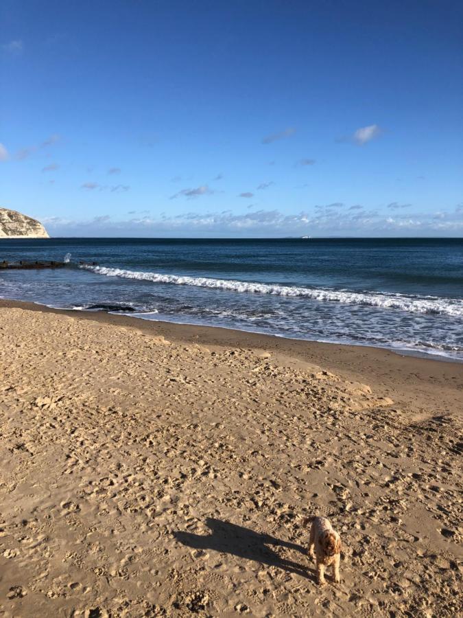 Purbeck Hill View Διαμέρισμα Swanage Εξωτερικό φωτογραφία